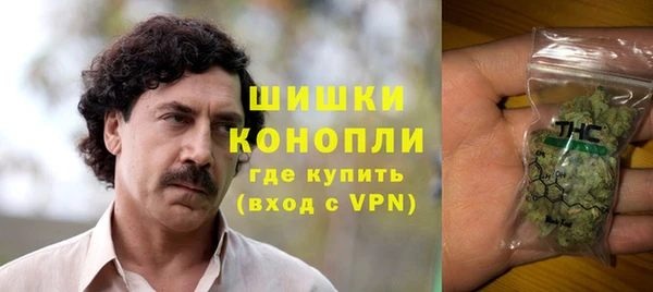 гидра Богородск