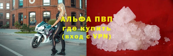 гидра Богородск