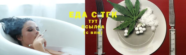 гидра Богородск