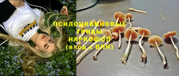 a pvp Богданович