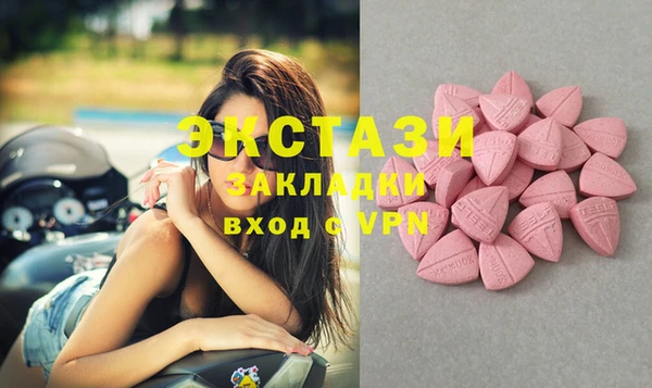 гидра Богородск