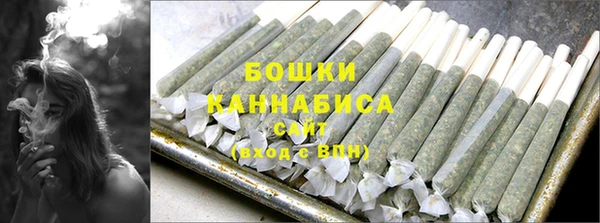 гидра Богородск