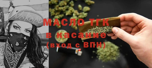 гидра Богородск