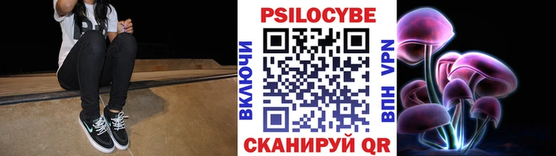 OMG вход  магазин продажи наркотиков  Киселёвск  Галлюциногенные грибы Psilocybe 